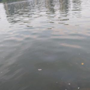 许维朝头像