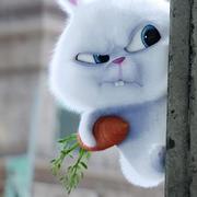 dongxue1995的个人资料头像