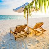 用户daocaoren头像