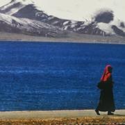 庞Sir的个人资料头像