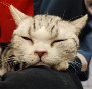 躺平的波波的个人资料头像