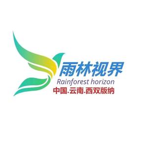 雨林视界头像