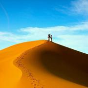 程序员北风的个人资料头像