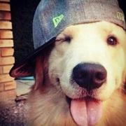 不再年轻的年轻人的个人资料头像