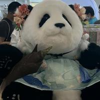 6木推文头像