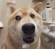 Tzuao_的个人资料头像