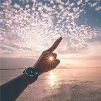 我是假绅士头像