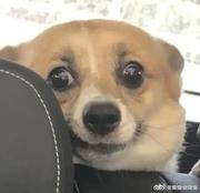 无恙1991的个人资料头像