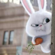 前端黑翼的个人资料头像