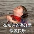 莎奈朵音乐头像