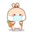 佳銮的个人资料头像