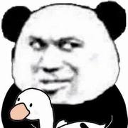 StayHungry的个人资料头像