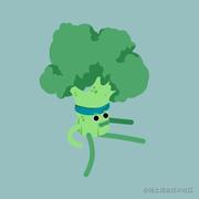 前端菜花的个人资料头像