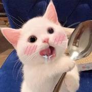 二琳爱吃肉的个人资料头像