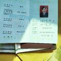 自在费伊0w1头像