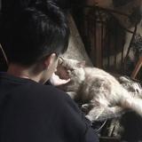 用户6054905542550头像