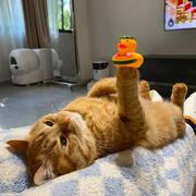 证是要紧啊的个人资料头像