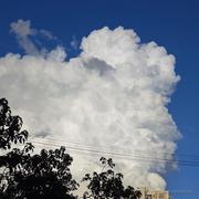 爱跳舞的蜗牛的个人资料头像