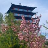 不凡的弘德头像