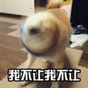 晚比巴卜的个人资料头像