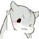 有有的个人资料头像