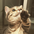 有民的个人资料头像