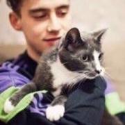 奥栗想吃西瓜的个人资料头像