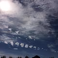 谈股论经wahaha头像