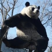 我不是有名字吗嘛的个人资料头像