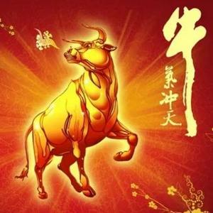 牛哥买好股头像