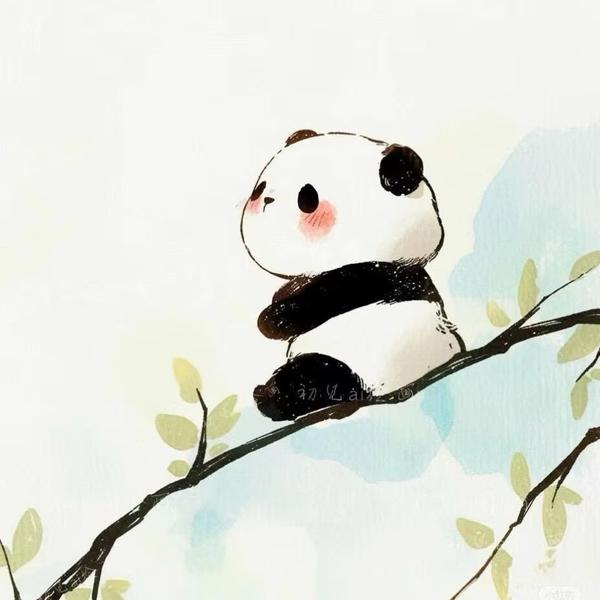 七狼房车聪聪头像