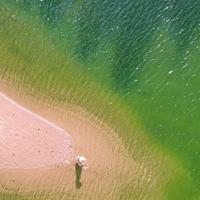 社恐和社牛头像