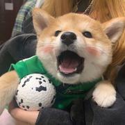 AIRPrelude的个人资料头像