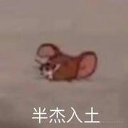 刘斯婷的个人资料头像