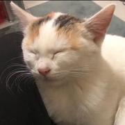 BumBle的个人资料头像