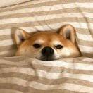 Ike同志的个人资料头像