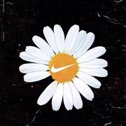 穿山乙的个人资料头像