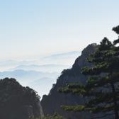 闪头像