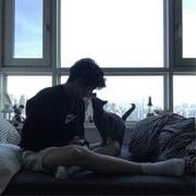 已决定无憾与内疚的个人资料头像