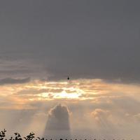 澜的酷路泽头像