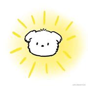 Jerry_CC的个人资料头像