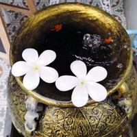 一路向北1107头像