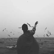 oldcaptain的个人资料头像