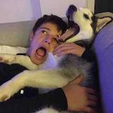 LDyQAQ丶头像