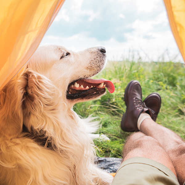 愉悦的蛋糕5NvnJ头像