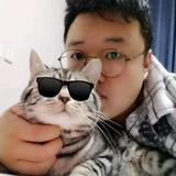BD真探头像
