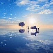 loveshi的个人资料头像