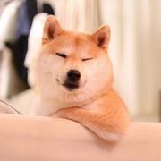 大帅比超级叼的个人资料头像