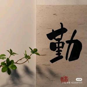文运头像