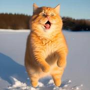 WB_先的个人资料头像